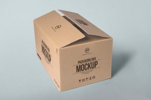 packaging- Mockup